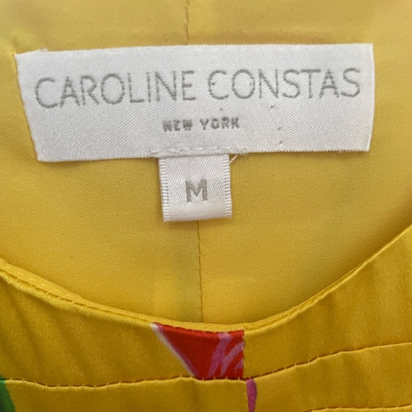 Caroline Constas dress - Picture 4 of 6